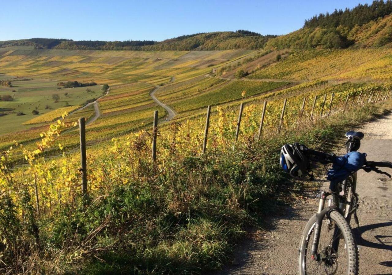 Alter Posthof Lieser Bagian luar foto